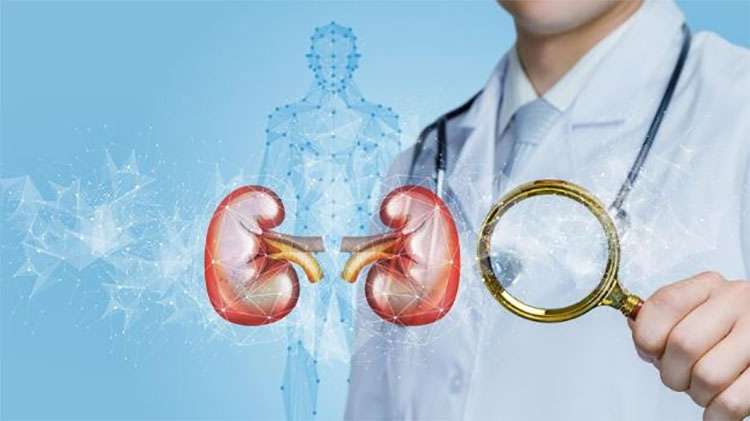 吃汗馬糖後覺得「腎虛更嚴重」？