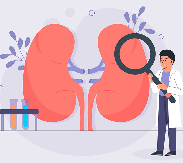 吃汗馬糖會不會形成「腎臟負擔」？