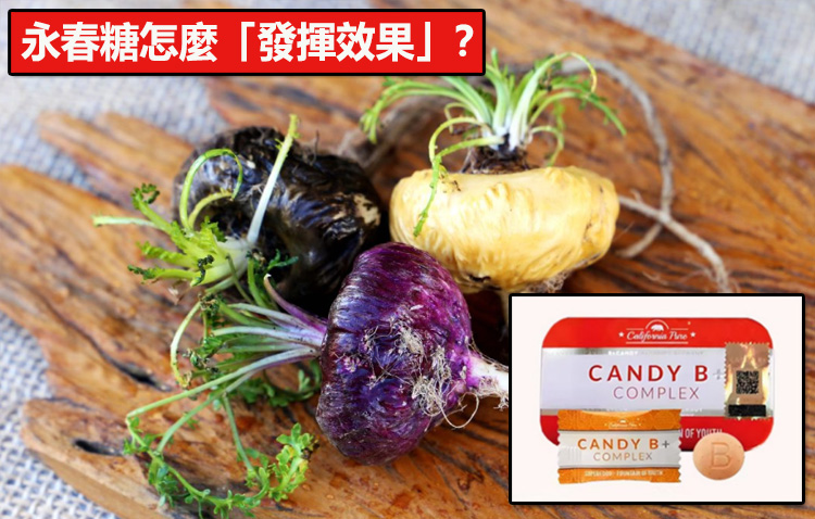 永春糖怎麼「發揮效果」？看懂它的科學邏輯