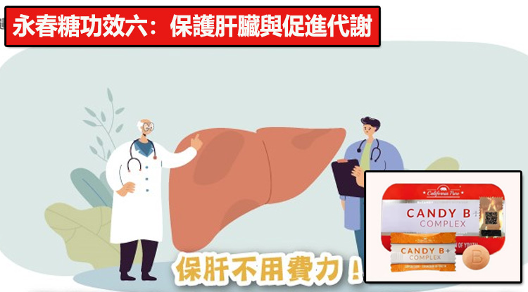 永春糖功效六：保護肝臟與促進代謝