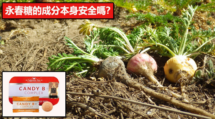 永春糖的成分本身安全嗎？