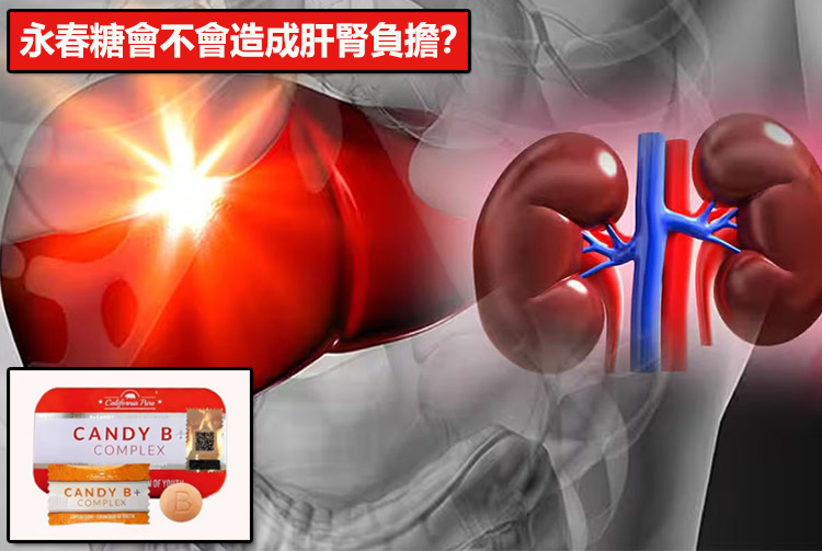 永春糖會不會造成肝腎負擔？