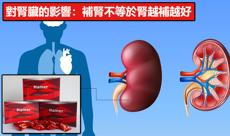 對腎臟的影響：補腎不等於腎越補越好